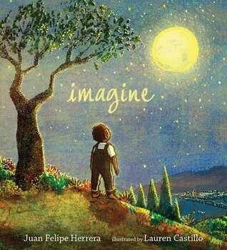 imagine book cover