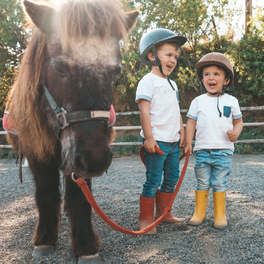 Young Boys Laughing By Pony