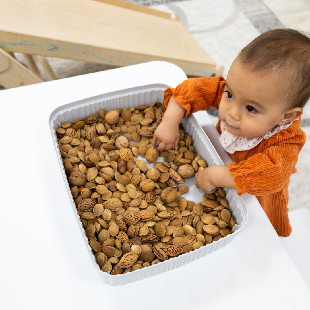 small child playing with a sensory friendly bin of nuts and seets
