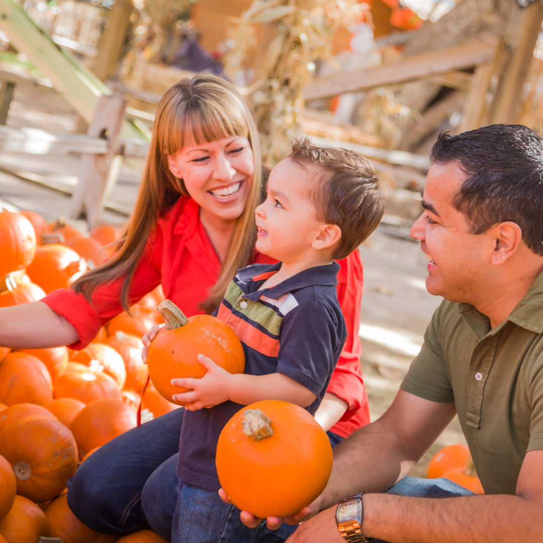 Family at a pumpkin patch in the fall