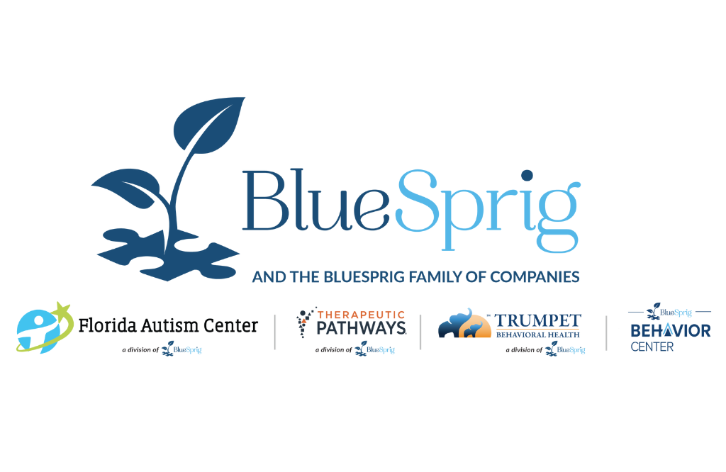 BlueSprig Family of Companies Logo