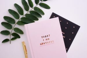 pink journal with a plant leaf and pen
