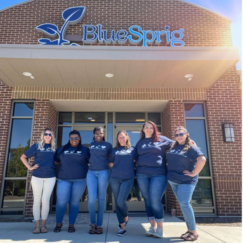 Professional Development - Bluesprig Autism