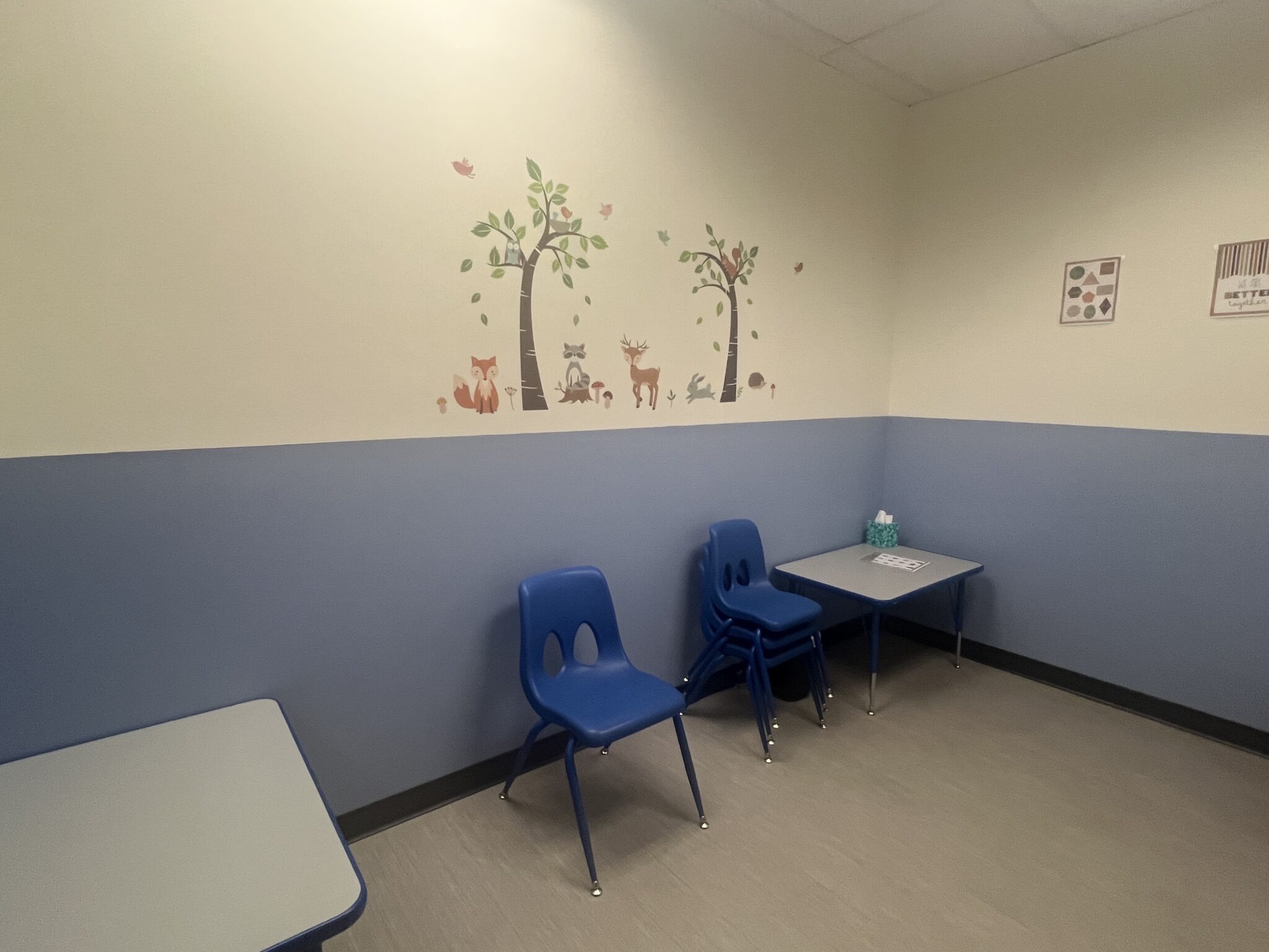Trumpet Behavioral Health, a division of BlueSprig